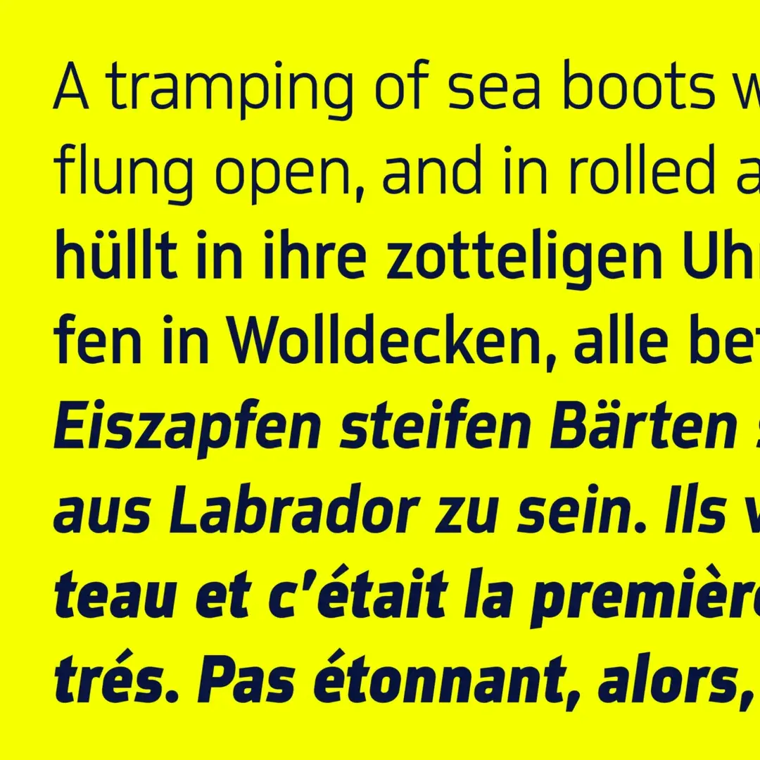 metroflex-7-20251223c